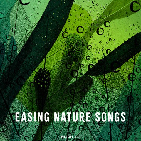 Easing Nature Songs