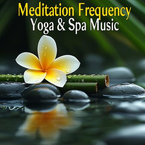 Meditation Frequency Yoga & Spa Music
