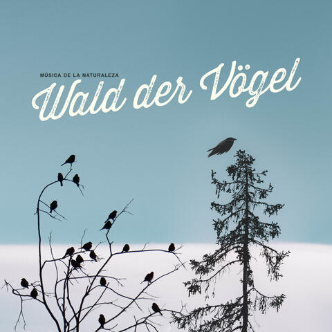 Wald der Vögel
