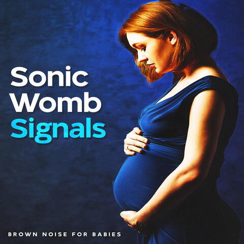 Sonic Womb Signals