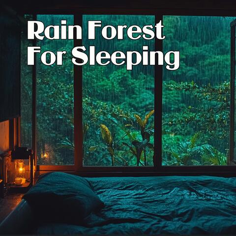Rain Forest For Sleeping