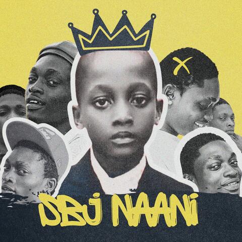 Sbj Naani