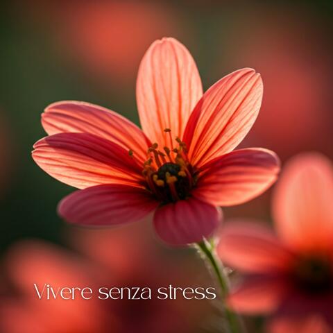 Vivere senza stress: Suoni per meditazione tranquilla