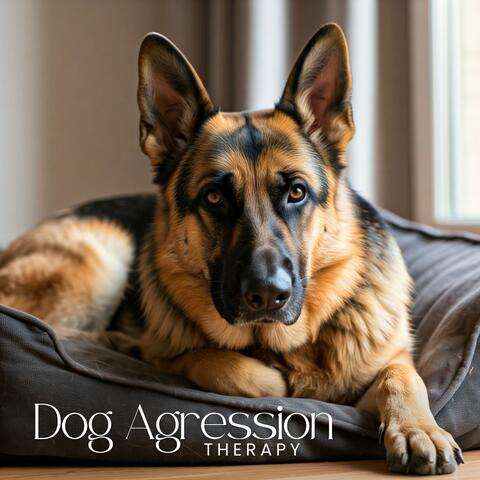 Dog Agression Therapy: Calming Frequencies, Deep Relaxation for Dogs, Stop Dog Agression
