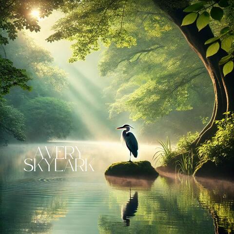 Birds Meditation: Birds Queen