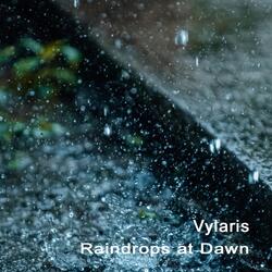 Raindrops at Dawn