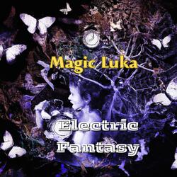 Electric Fantasy