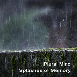 Splashes of Memory