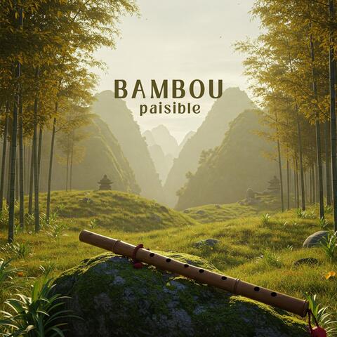 Bambou paisible: Flûte asiatique pour dormir, spa, méditation