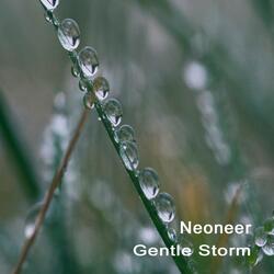 Gentle Storm