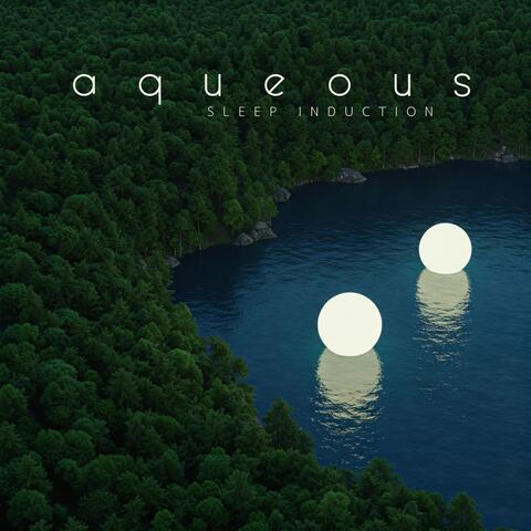 Aqueous Sleep Induction: Peaceful Water Sounds for Deeper Delta Brainwave States