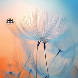Light in Letting Go