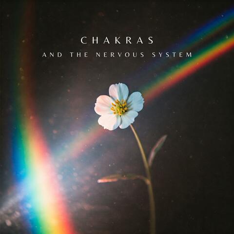 Chakras and the Nervous System