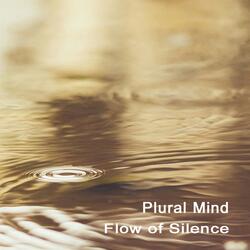 Flow of Silence