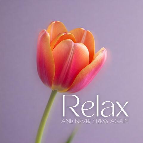 Relax and Never Stress Again