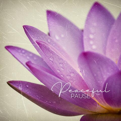 Peaceful Pause: Reconnect with Calm