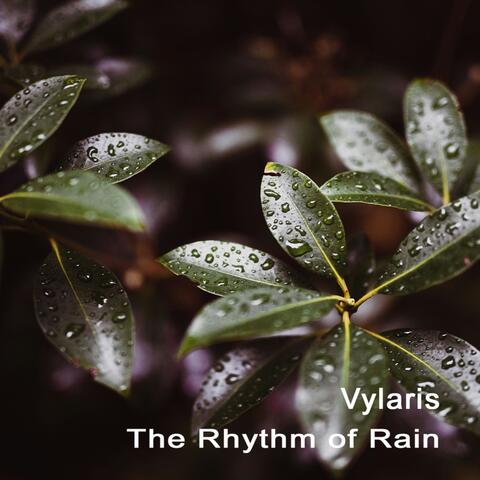 The Rhythm of Rain