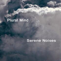 Serene Noises