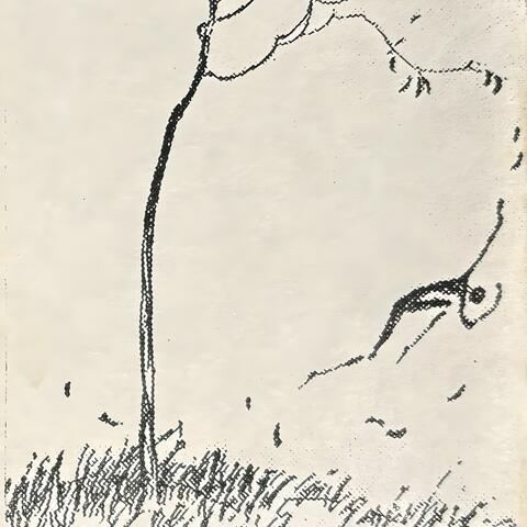 Always Wear a Happy Face