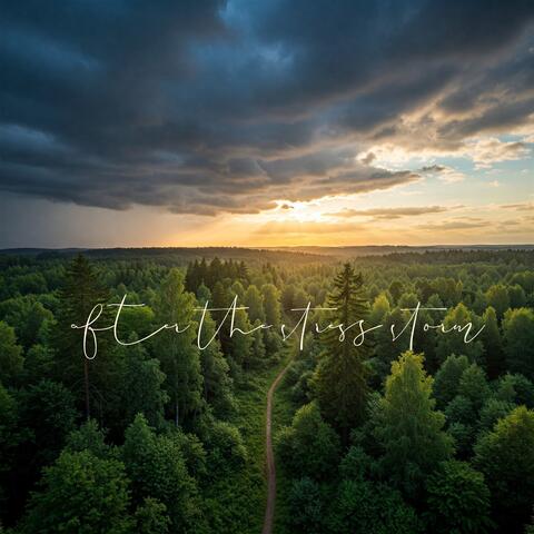 After the Stress Storm