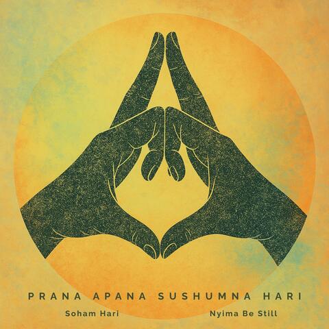 Prana Apana Sushumna Hari