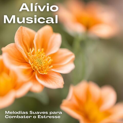 Alívio Musical: Melodias Suaves para Combater o Estresse