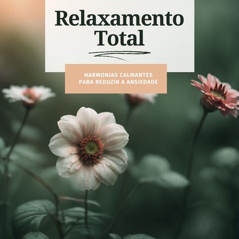 Relaxamento Total: Harmonias Calmantes para Reduzir a Ansiedade