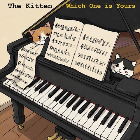 The Kitten - Which One Is Yours