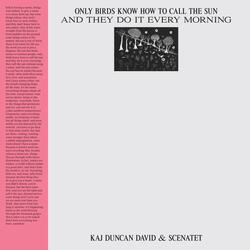 Tongues of Light Chewing the Pages of a Book