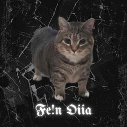 FE!N OIIA