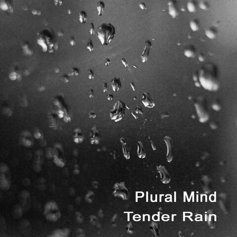 Tender Rain