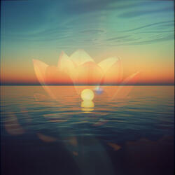 Reflections