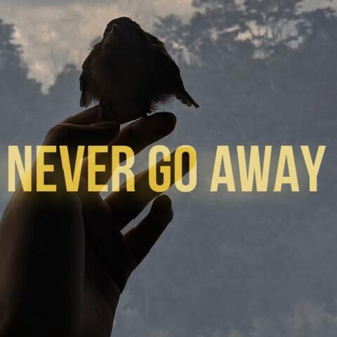 NEVER GO AWAY