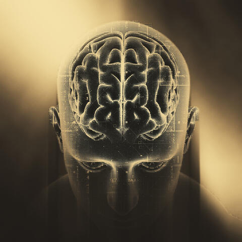 The Brain’s Pathways