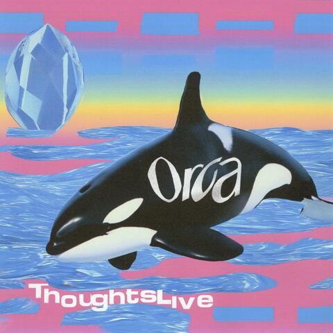 Orca