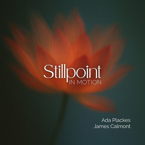 Stillpoint in Motion
