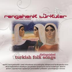 Gemuler Giresun'e