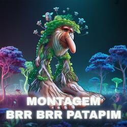 MONTAGEM BRR BRR PATAPIM