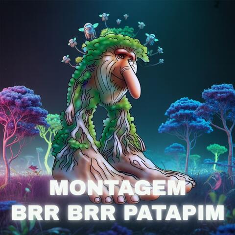 MONTAGEM BRR BRR PATAPIM
