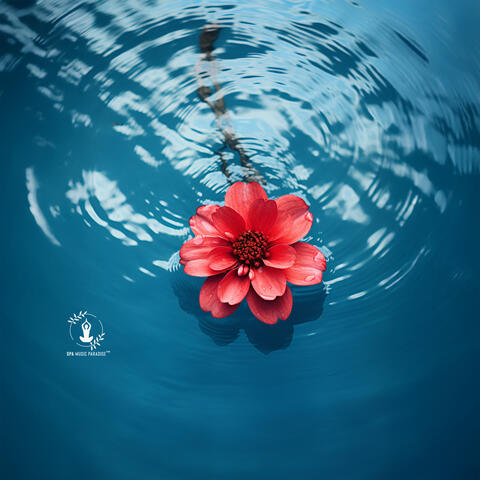 Tranquility Embrace