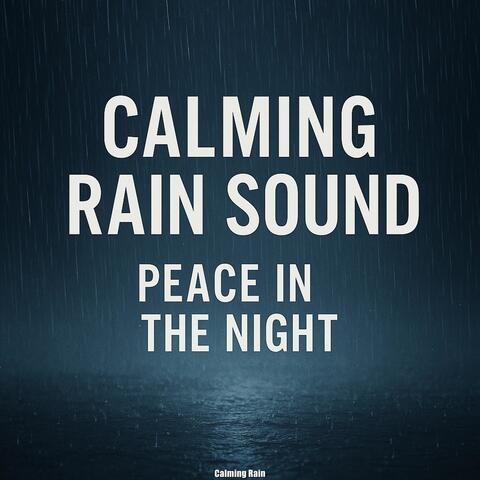 Calming Rain Sound, Peace in the Night