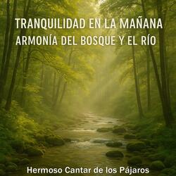Tranquilidad en la Mañana, Despertar Con la Naturaleza Viva