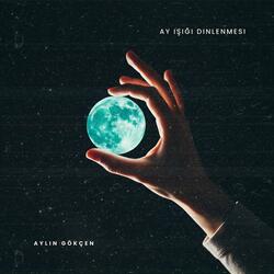 Yalnızlığın Evreleri