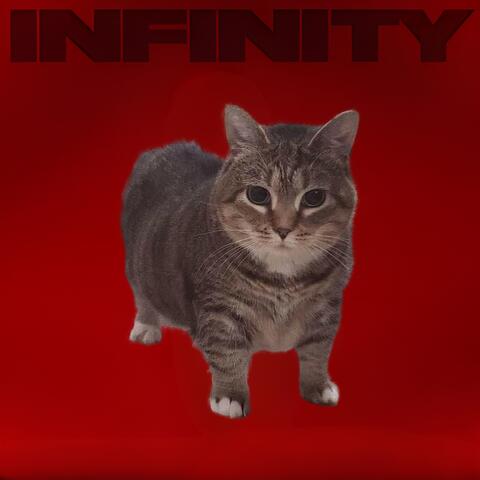 Infinity Oiia
