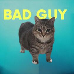 bad guy oiia