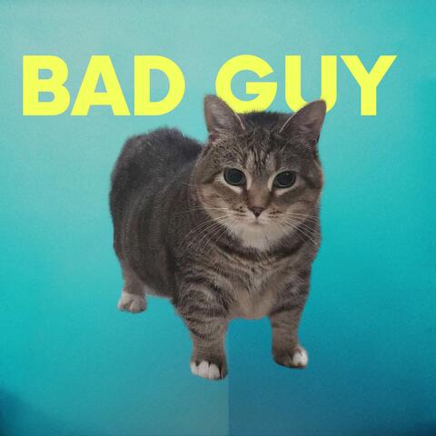 bad guy oiia