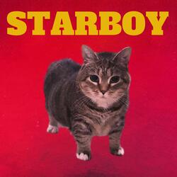 Starboy Oiia