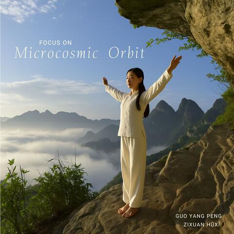 Focus on Microcosmic Orbit