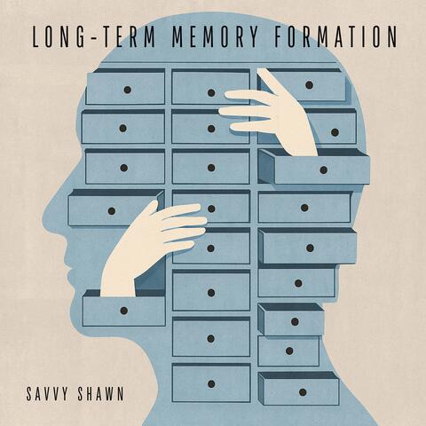 Long-Term Memory Formation