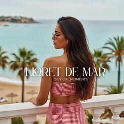 Nights in Lloret de Mar